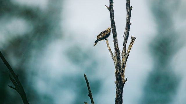 Birds%20eye%20view-993.jpg