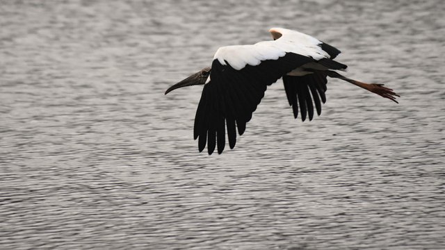 Birds%20eye%20view-995.jpg