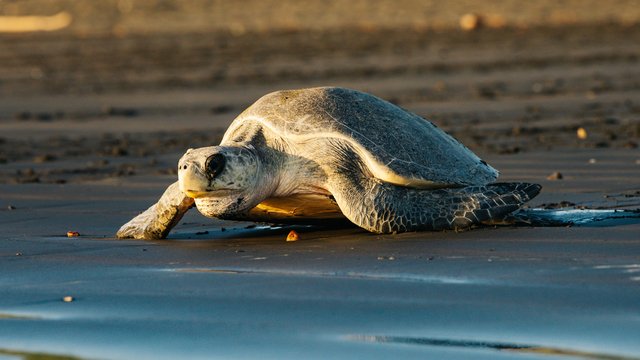 Wildlife-987.jpg
