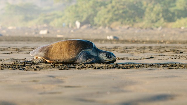 Wildlife-996.jpg